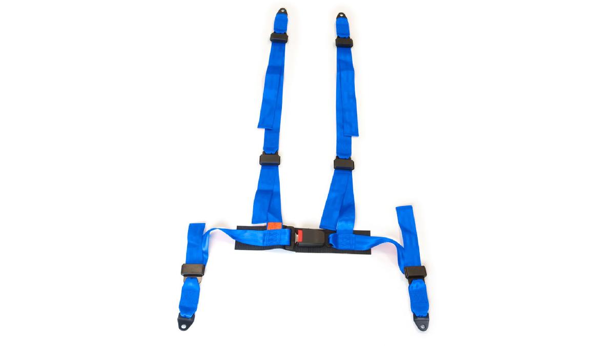 Harnais+4+points+fixation+%C3%A0+vis+Bleu